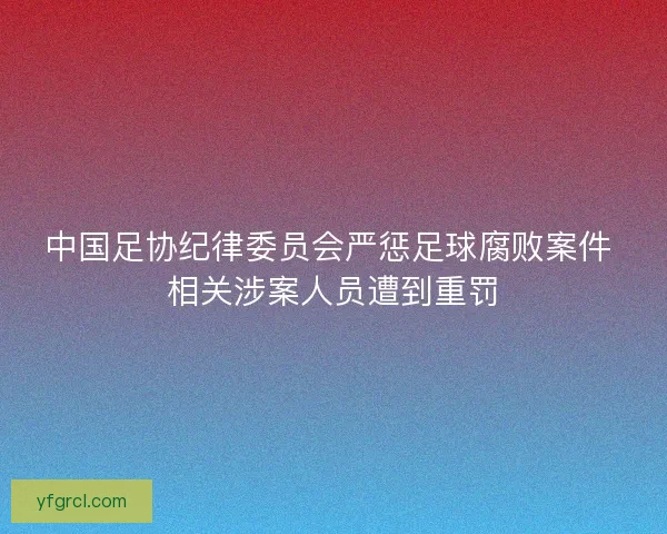 中国足协纪律委员会严惩足球腐败案件 相关涉案人员遭到重罚